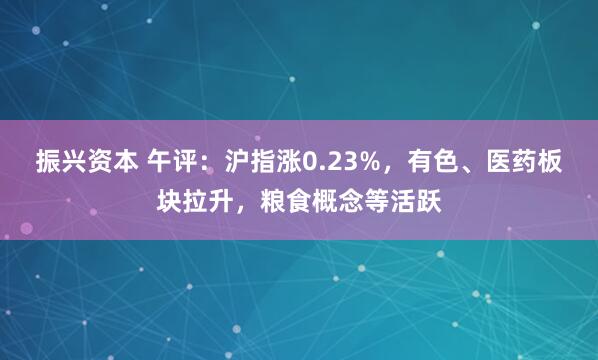 振兴资本 午评：沪指涨0.23%，有色、医药板块拉升，粮食概念等活跃