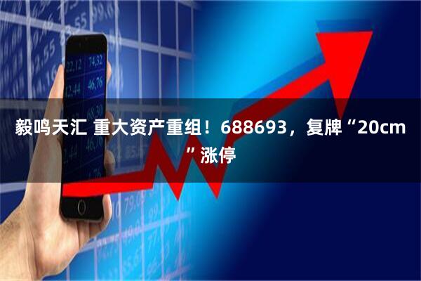 毅鸣天汇 重大资产重组！688693，复牌“20cm”涨停