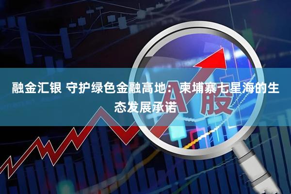 融金汇银 守护绿色金融高地：柬埔寨七星海的生态发展承诺